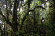 Ecuador-Highlands Riding Tours-Volcano Cotopaxi Adventure